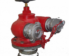 Trụ chữa cháy 2 họng TN
